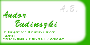 andor budinszki business card